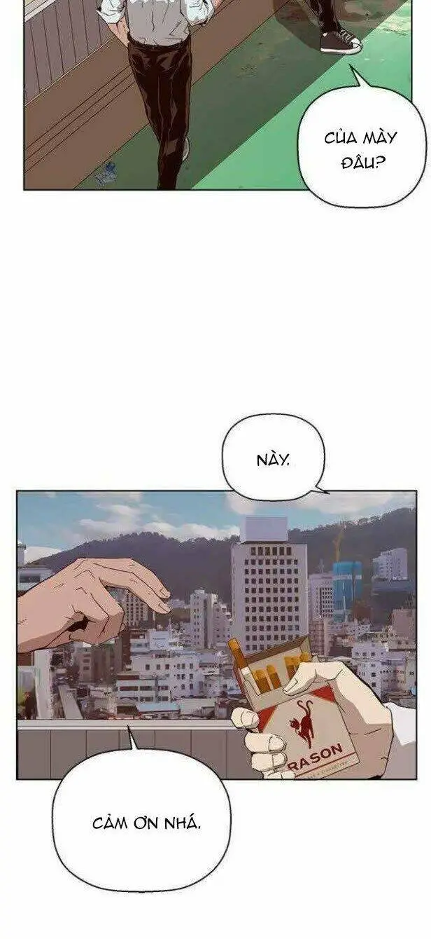 Chapter 146
