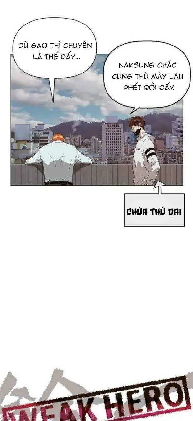 Chapter 146