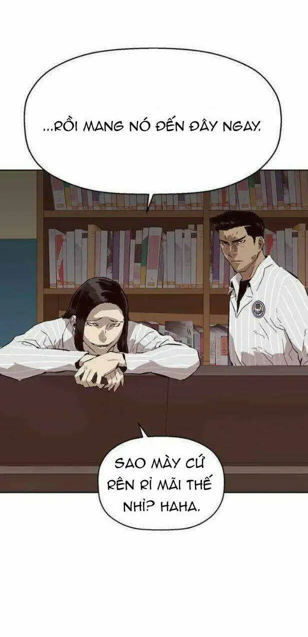 Chapter 146