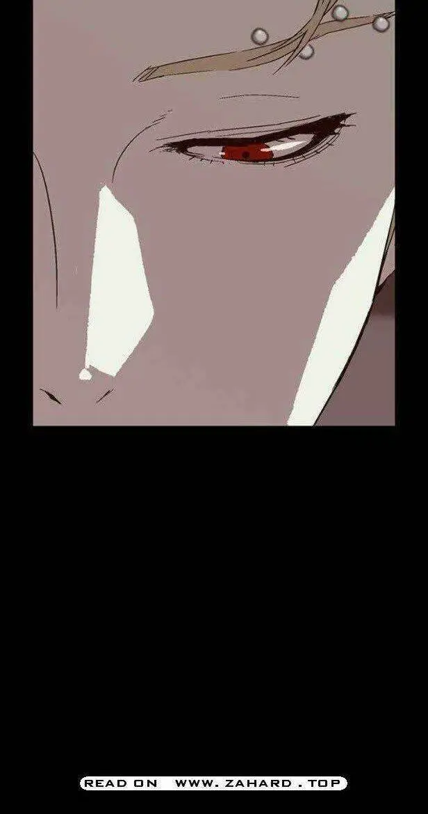 Chapter 146