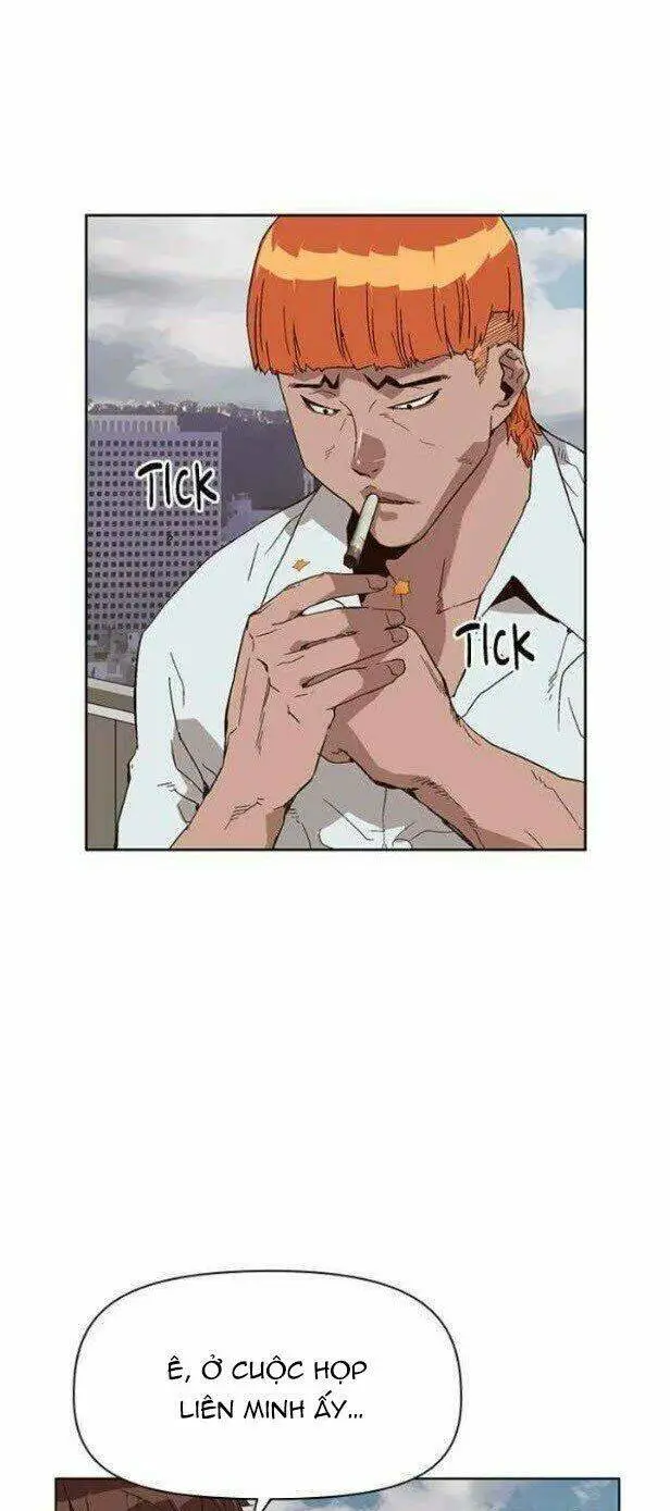 Chapter 146