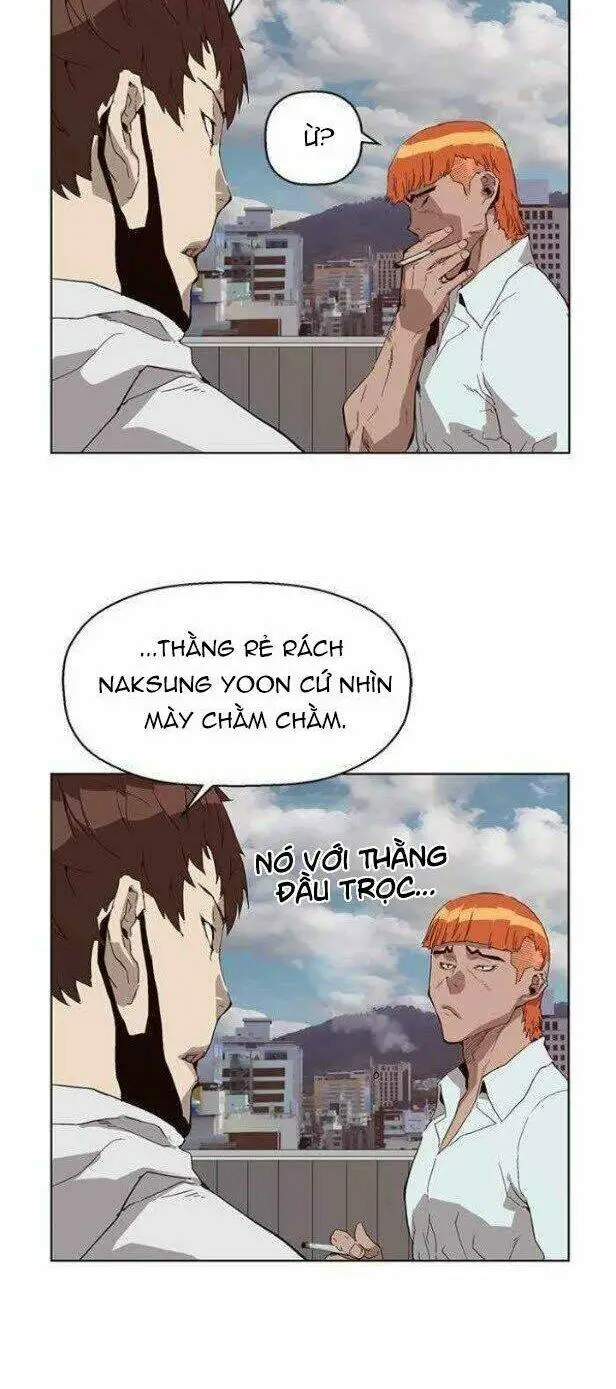 Chapter 146