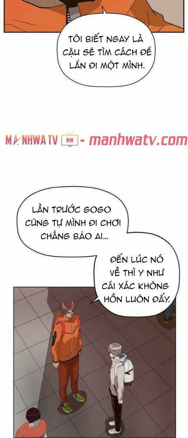 Chapter 146
