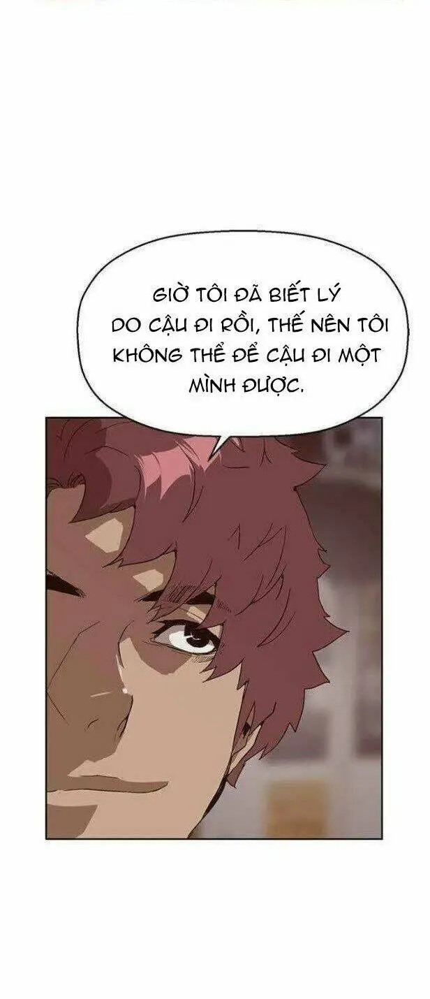 Chapter 146