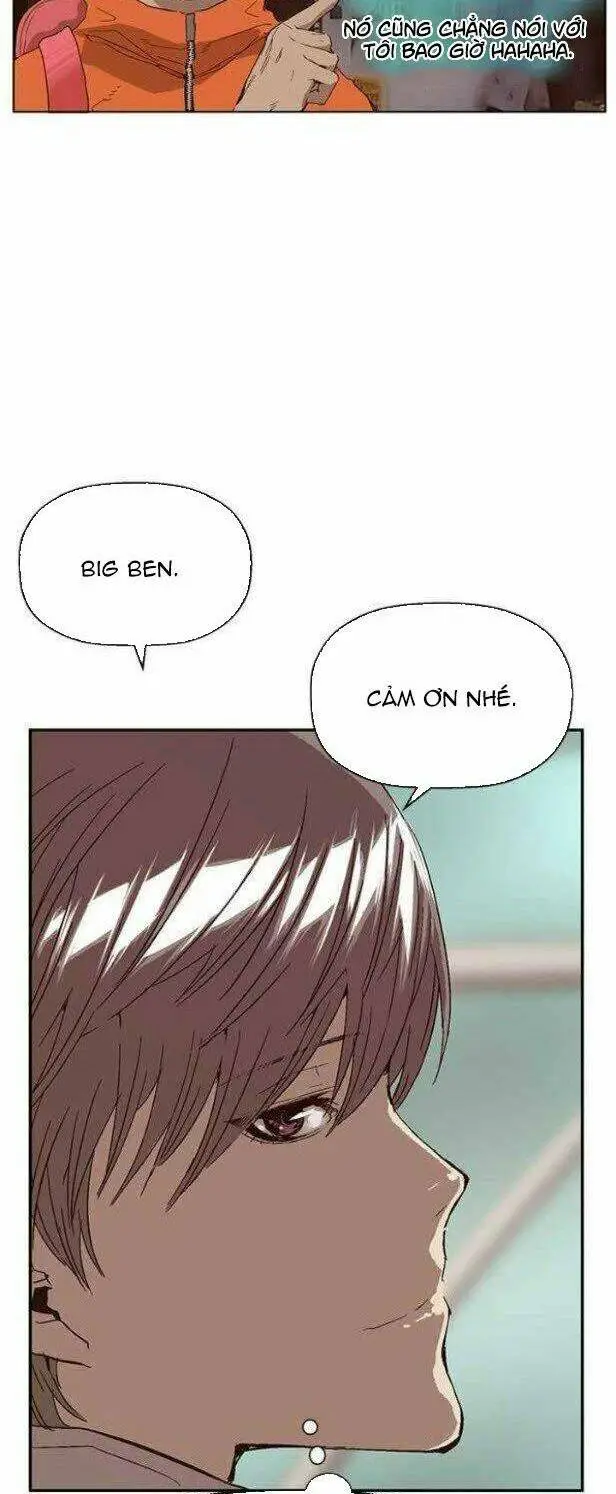 Chapter 146