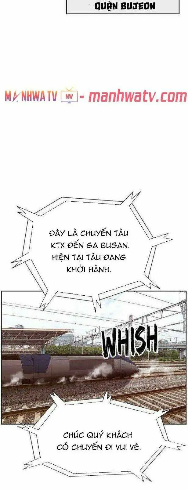 Chapter 146
