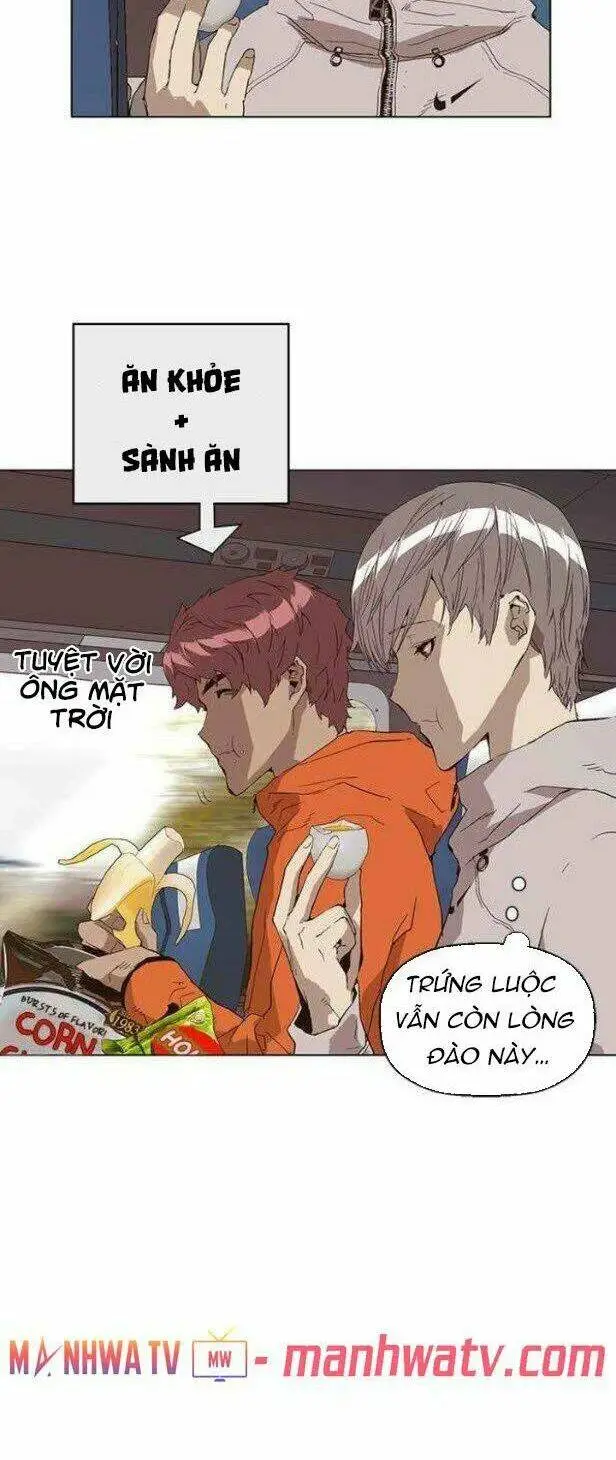Chapter 146