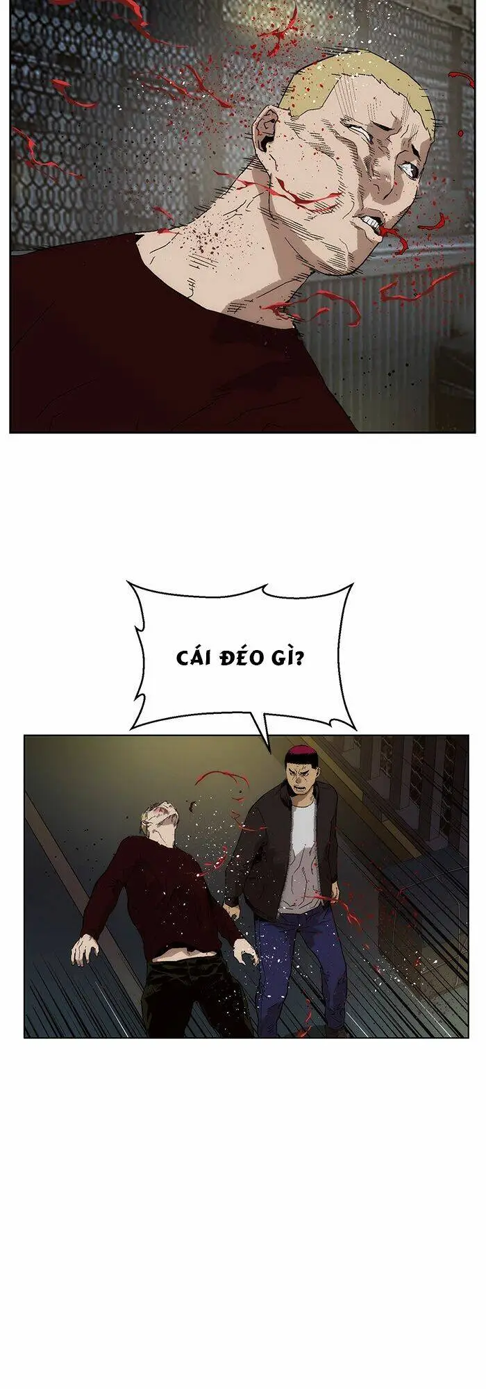 Chapter 142