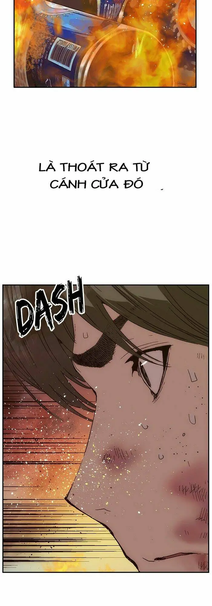 Chapter 142