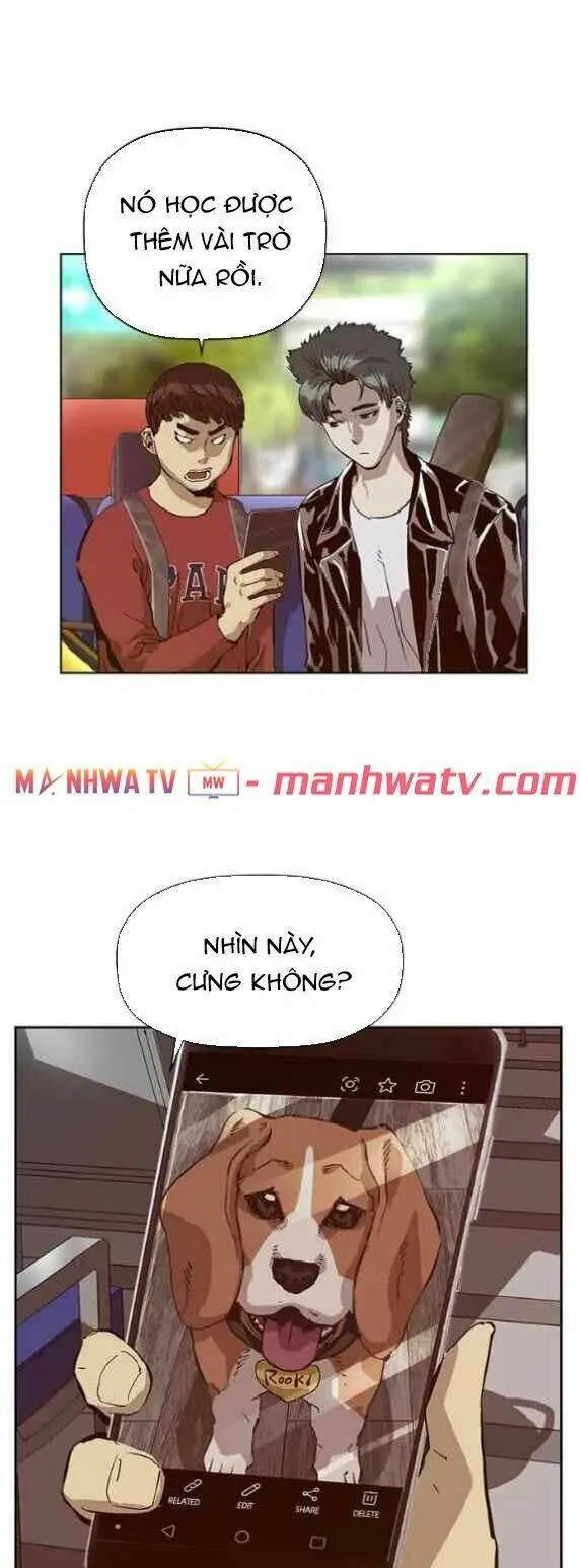 Chapter 137