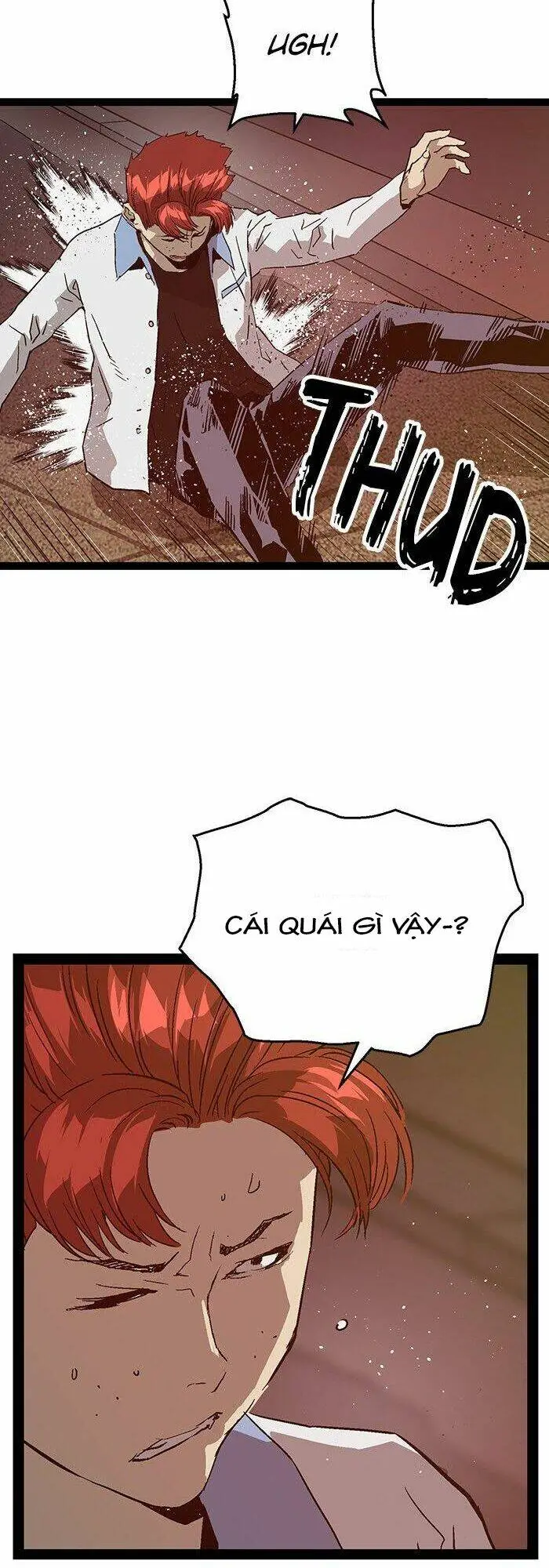 Chapter 117