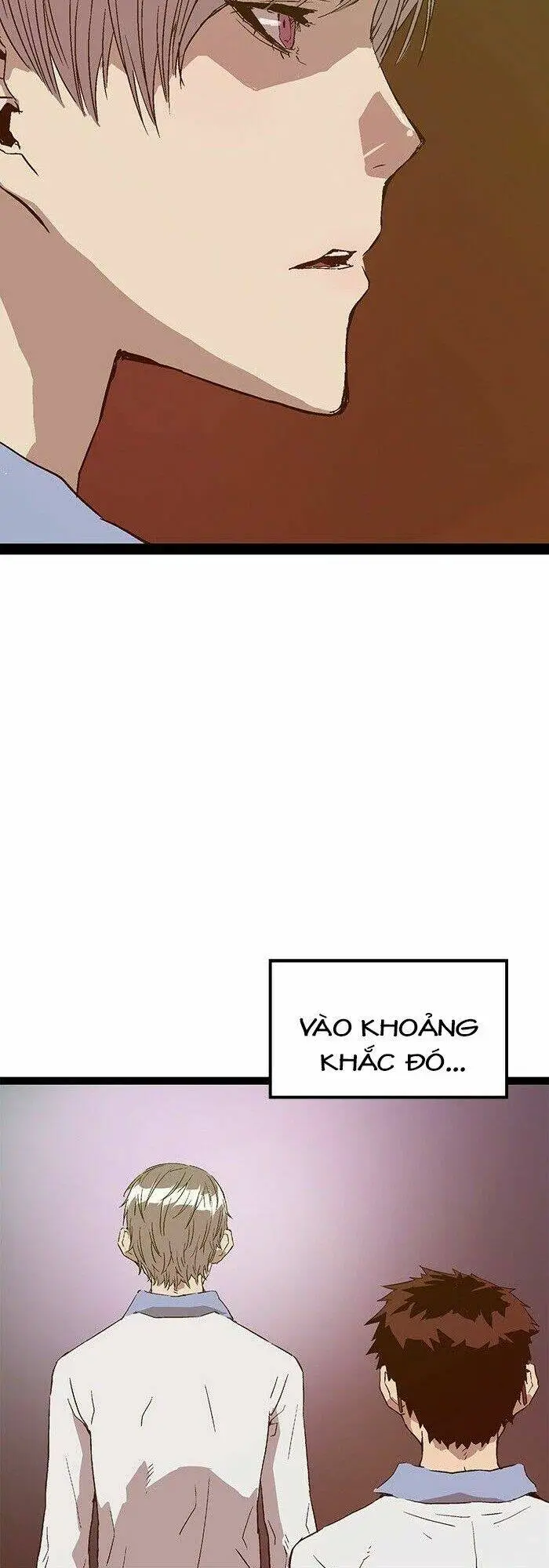 Chapter 117