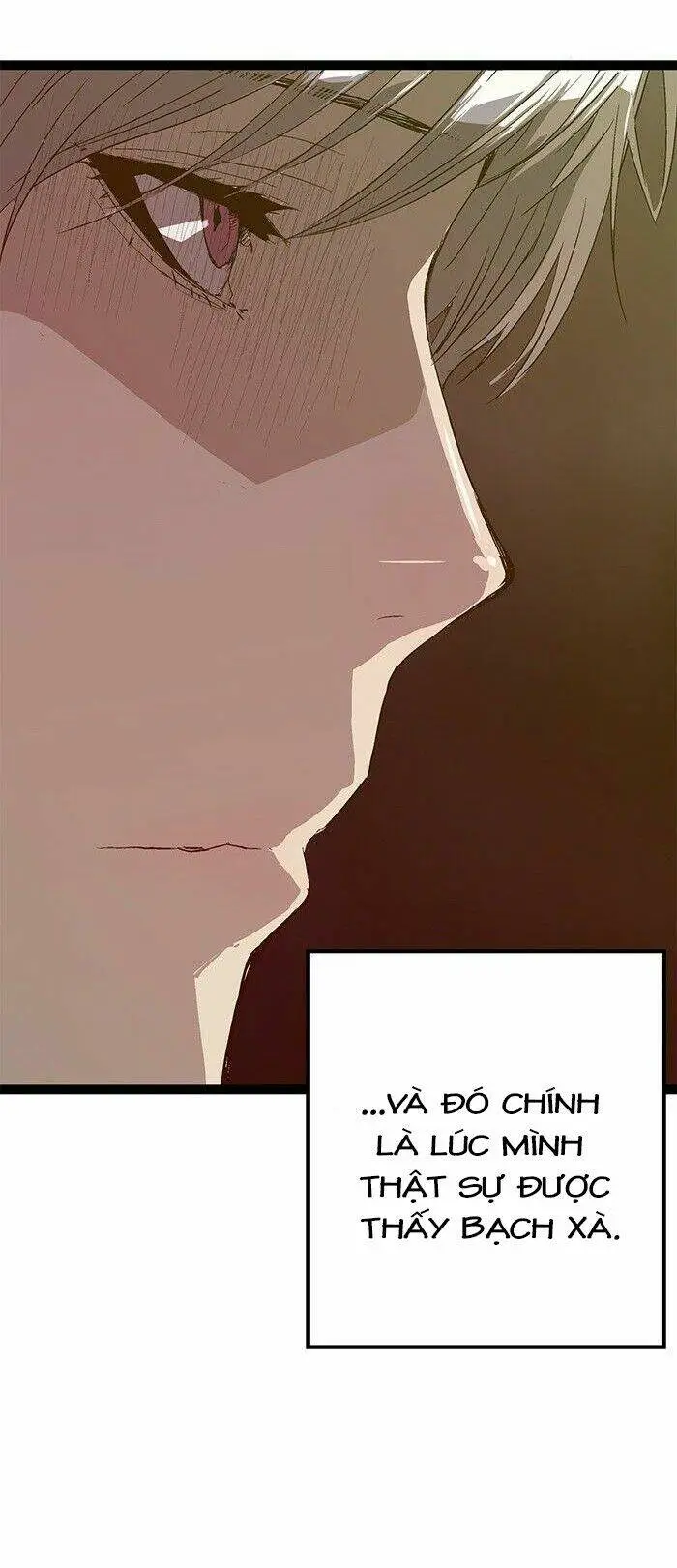 Chapter 117