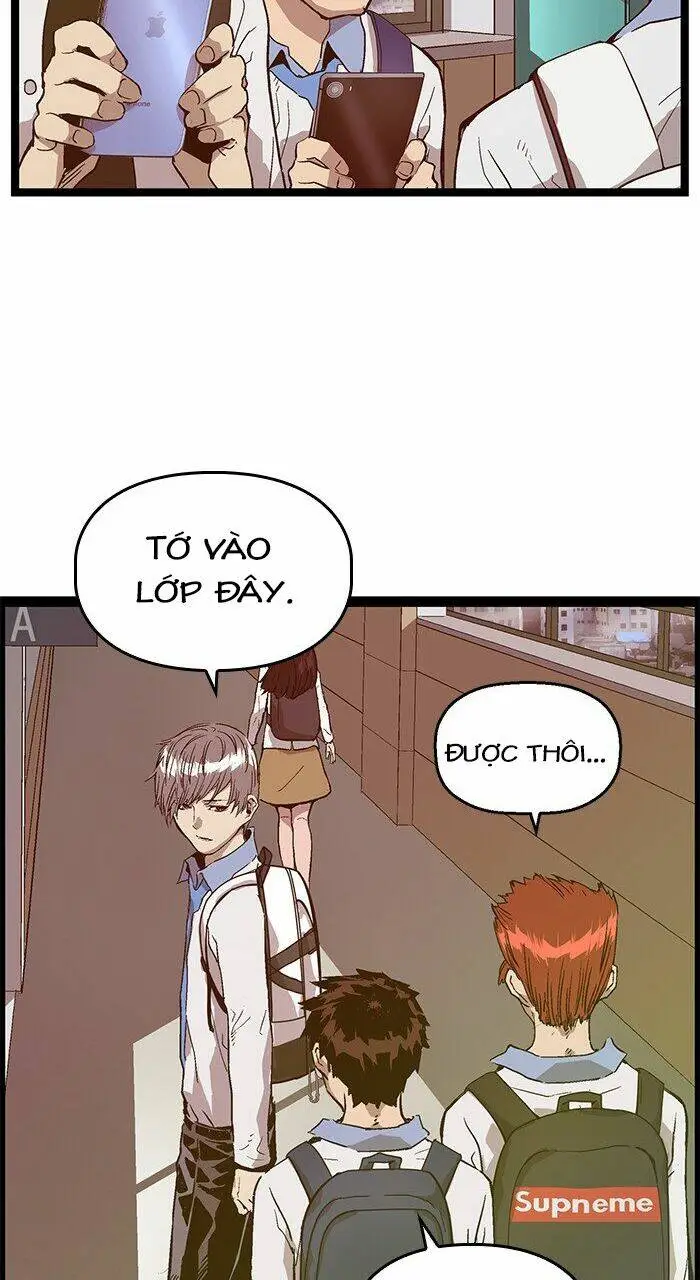 Chapter 114