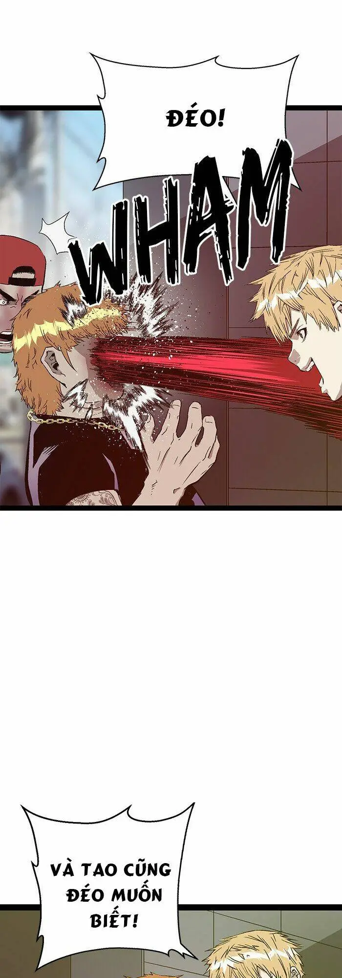 Chapter 113