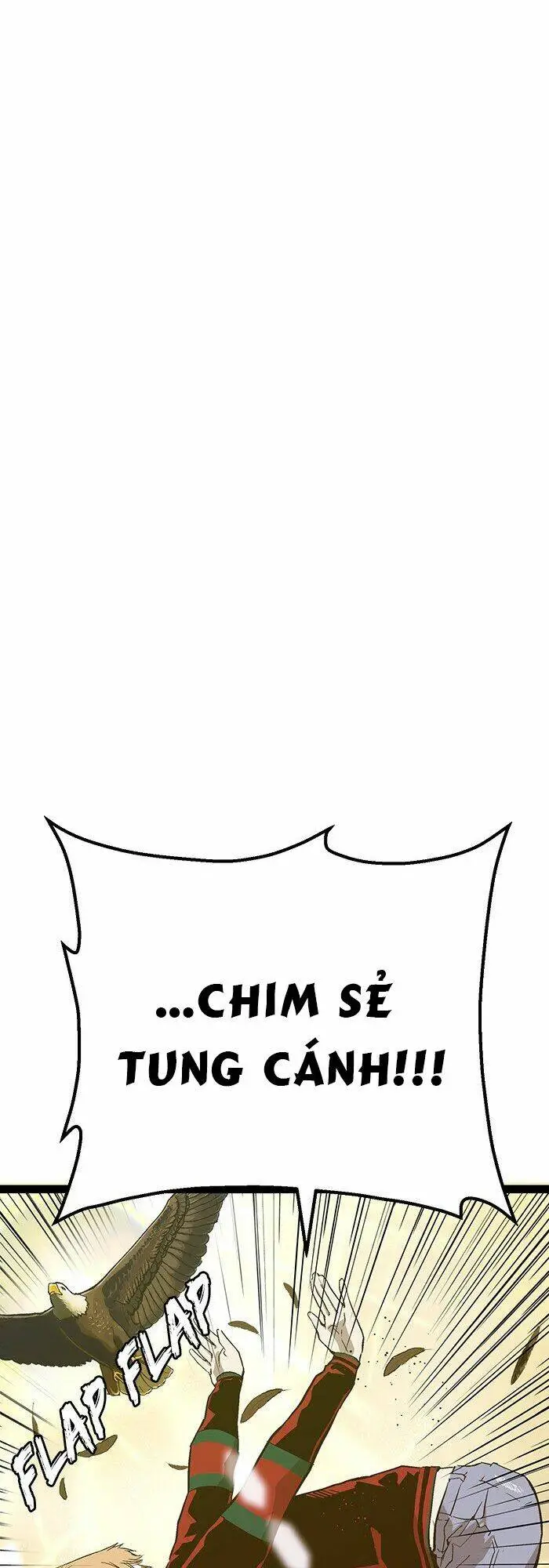 Chapter 113