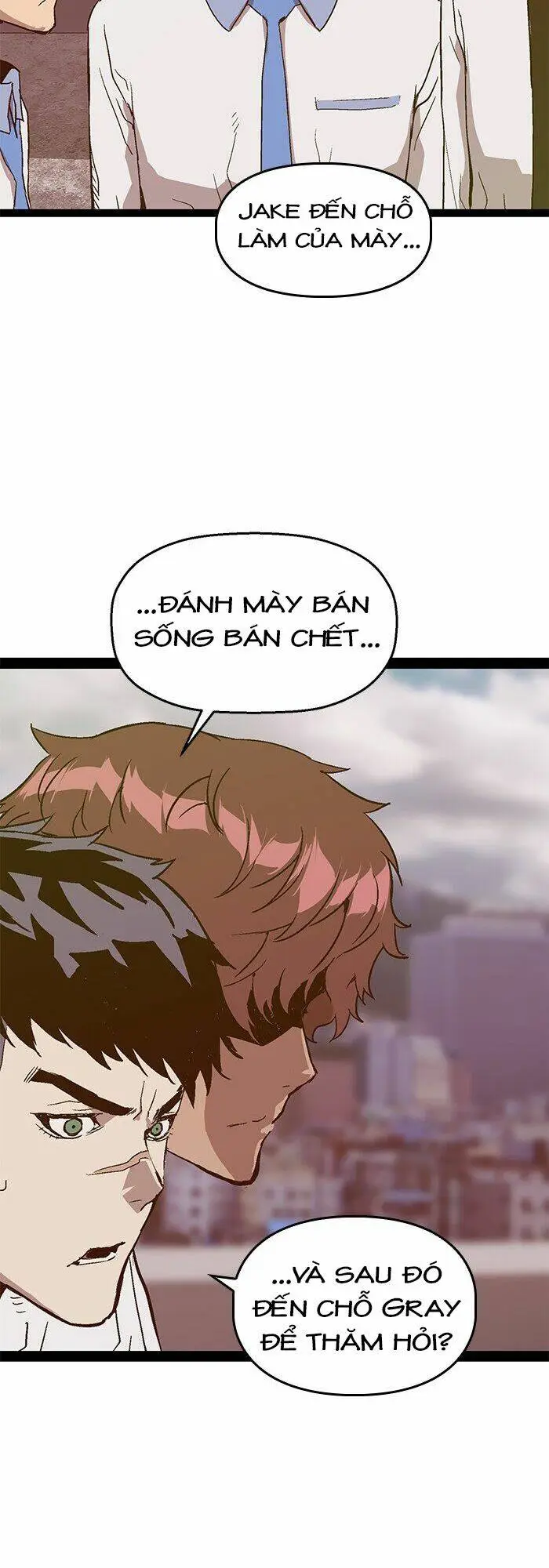 Chapter 113