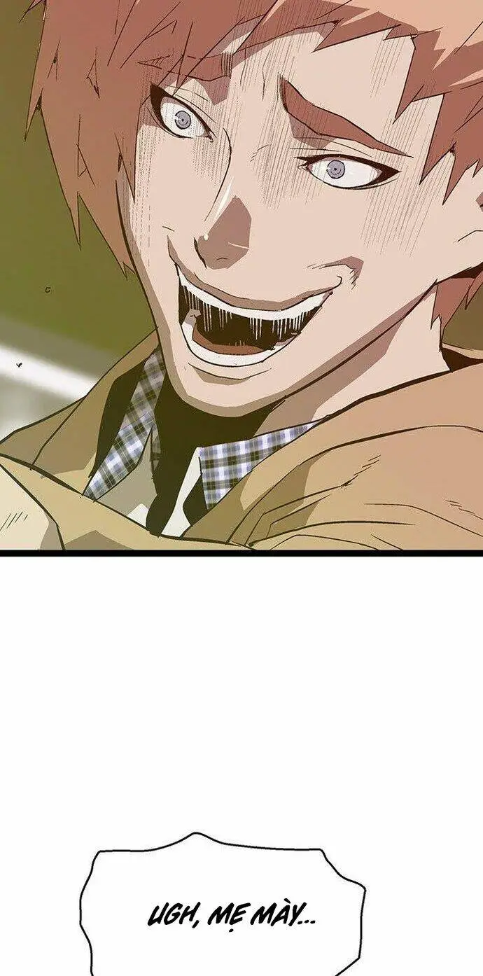Chapter 104