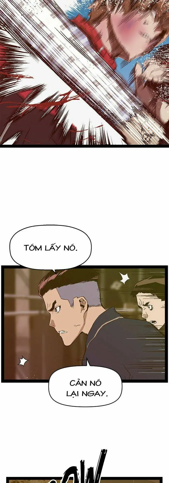 Chapter 97