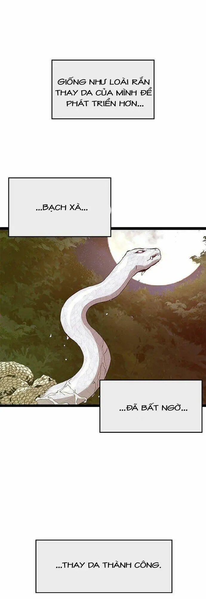 Chapter 92