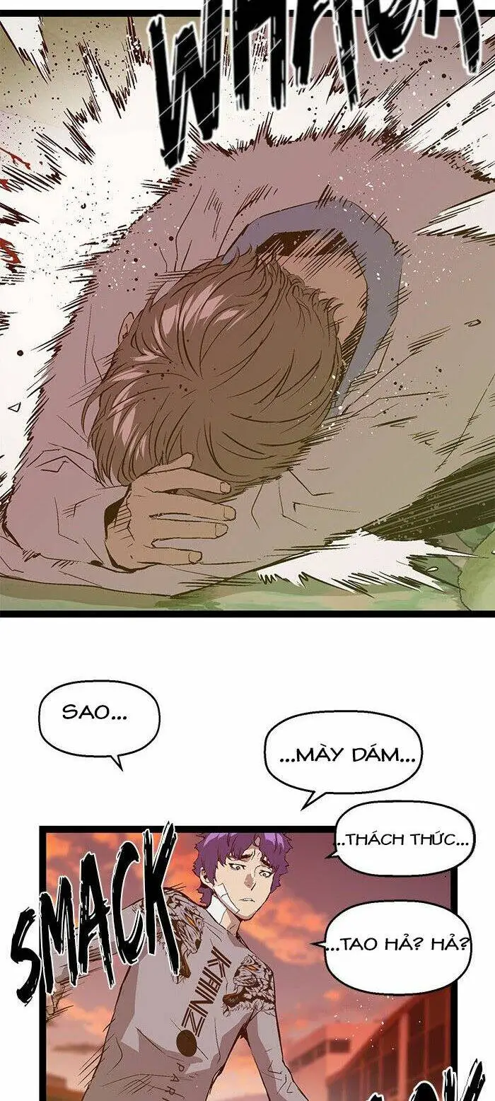 Chapter 84