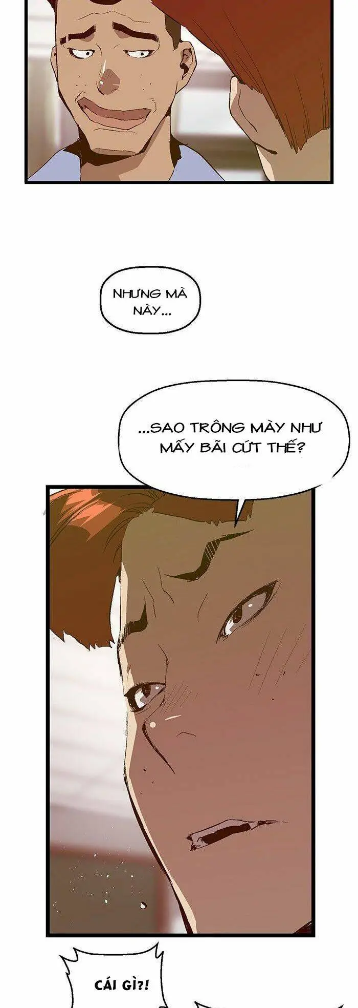 Chapter 66