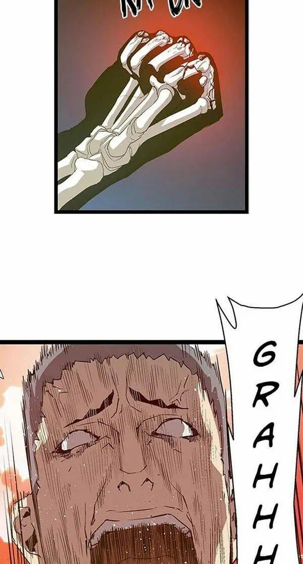 Chapter 55