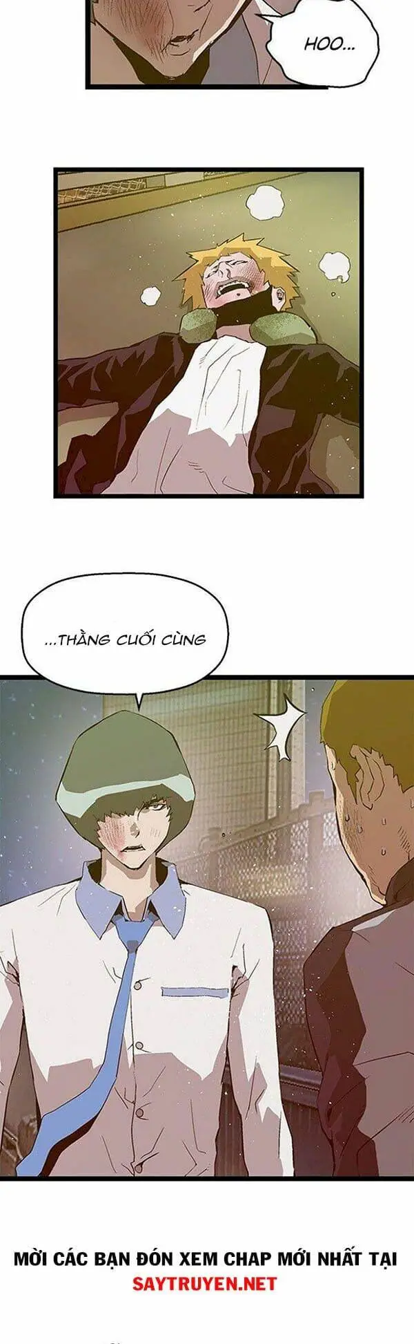 Chapter 55
