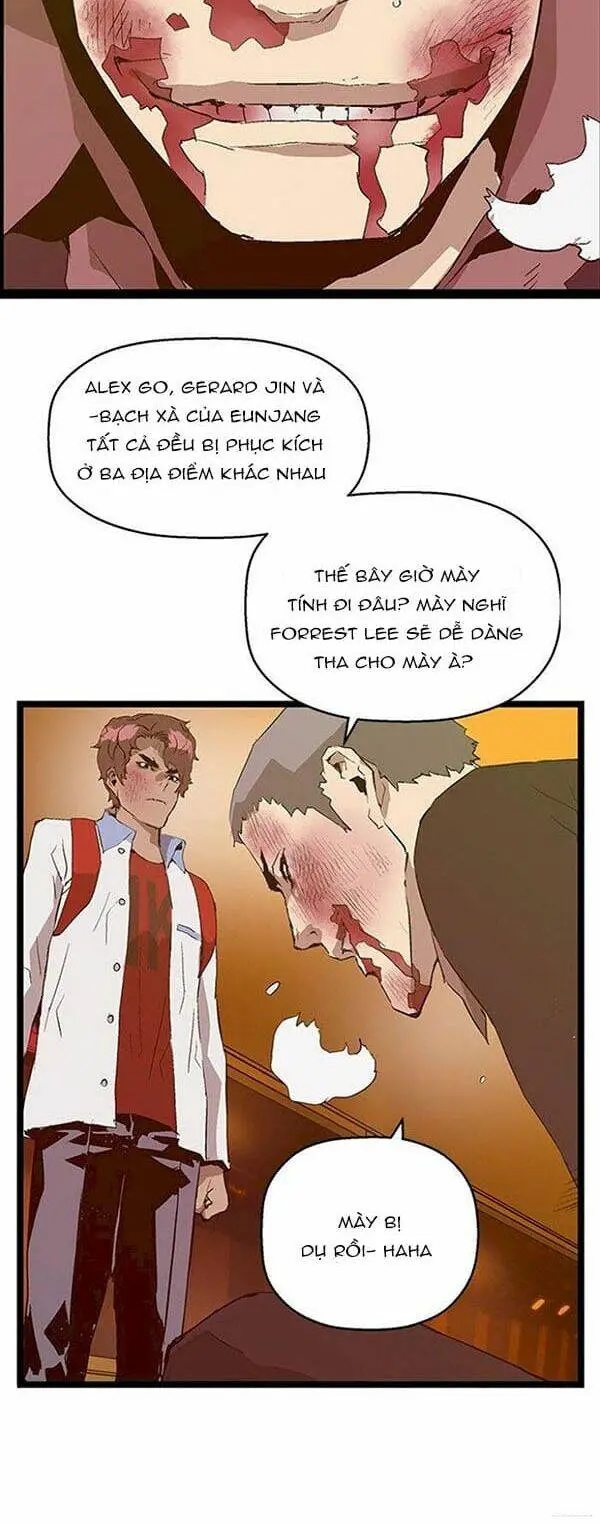 Chapter 55