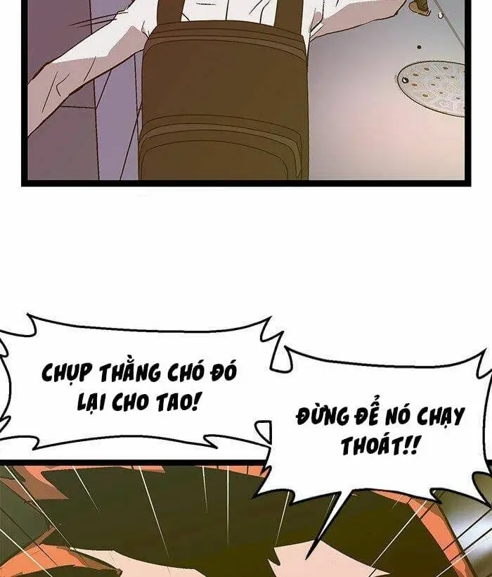 Chapter 53