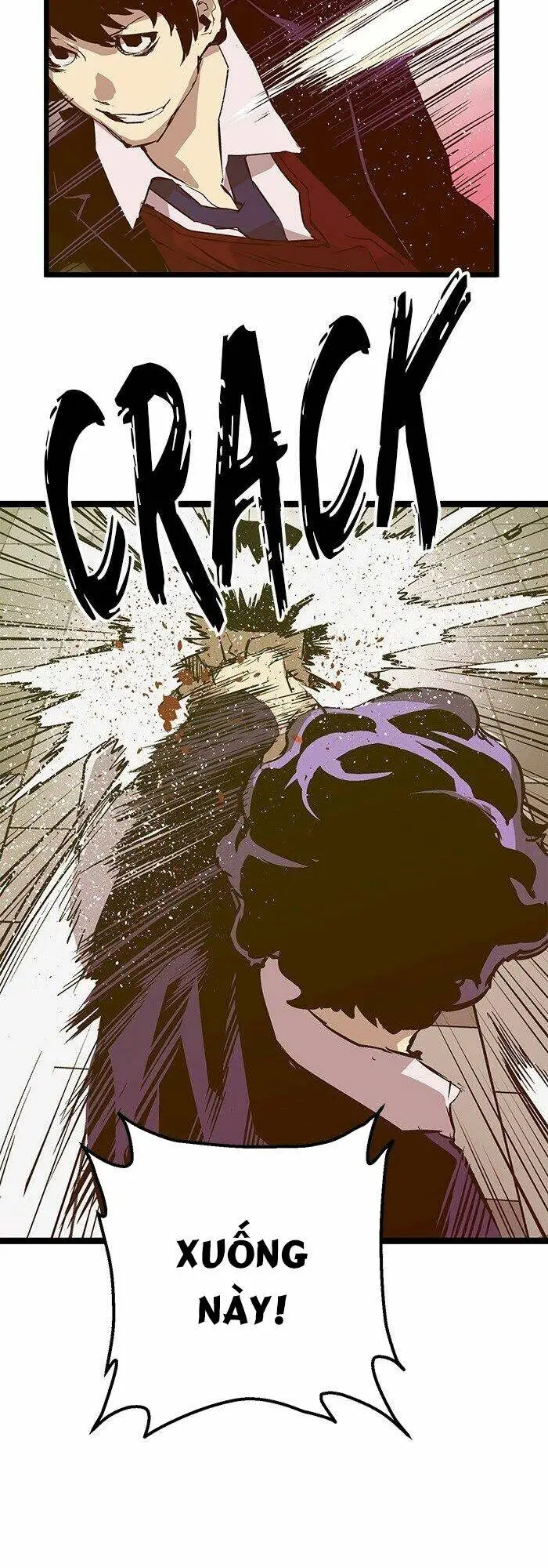 Chapter 50