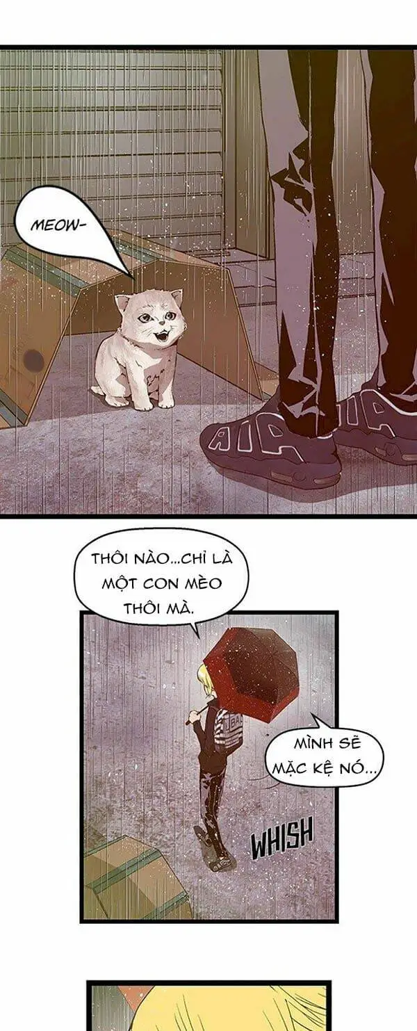 Chapter 49