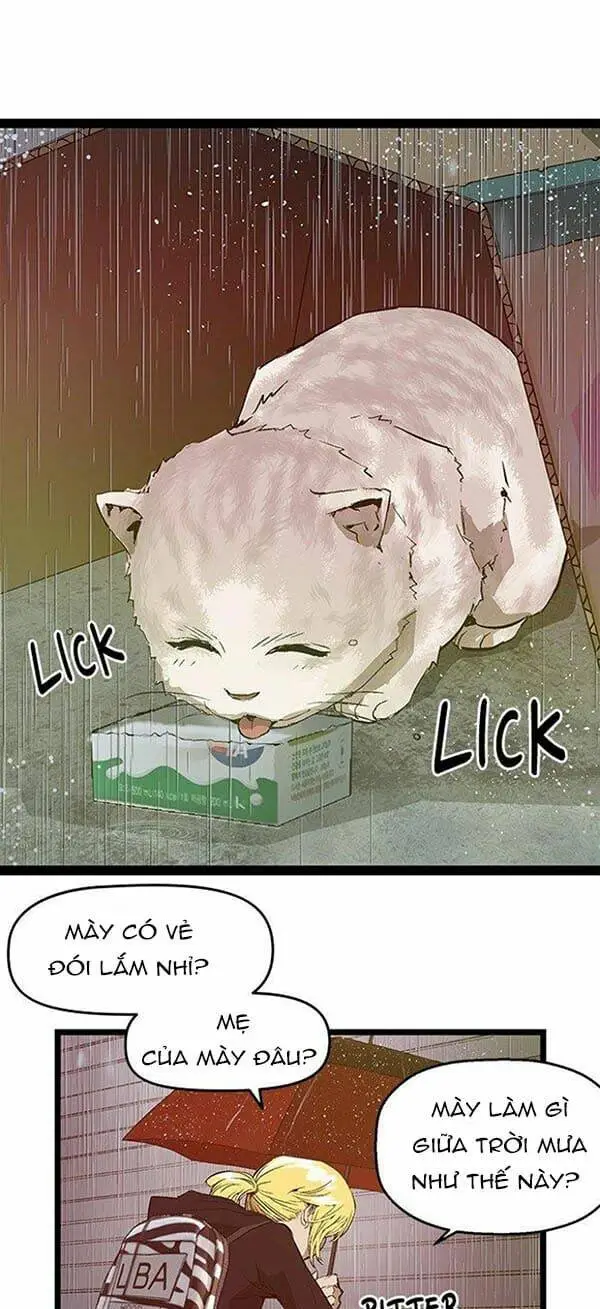 Chapter 49