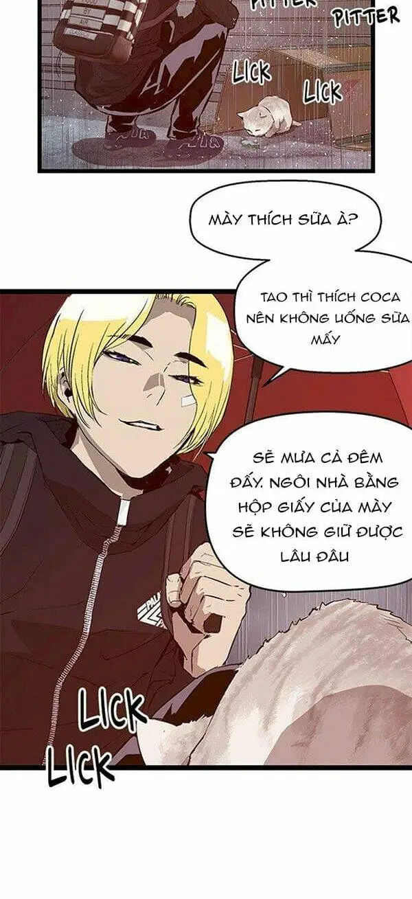 Chapter 49