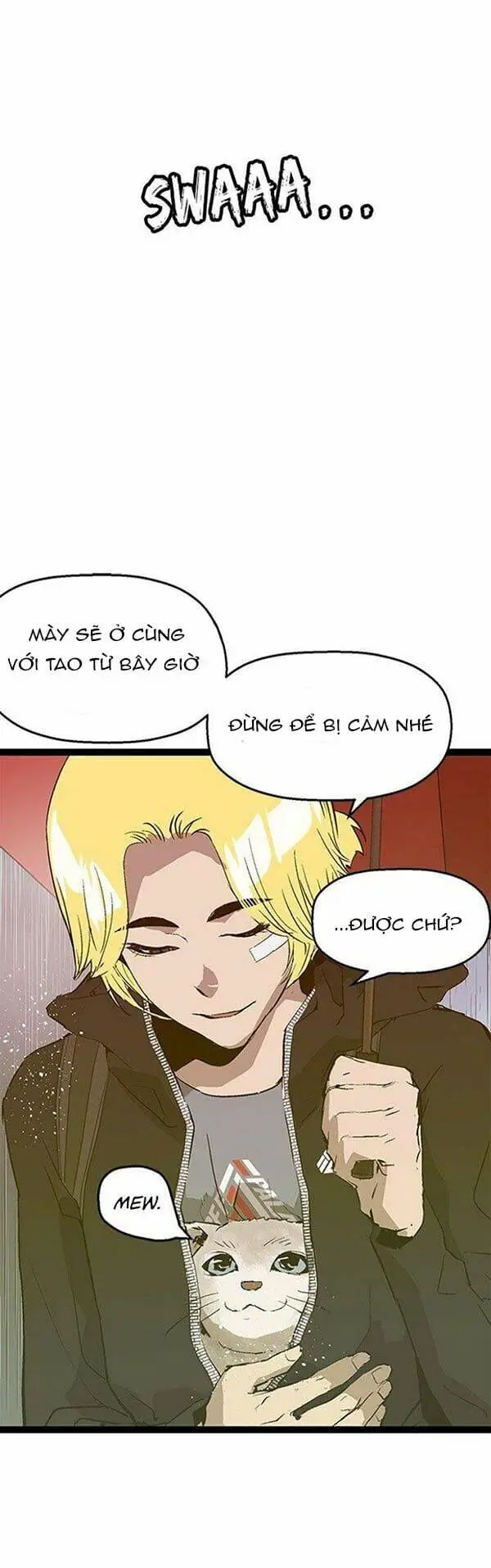Chapter 49
