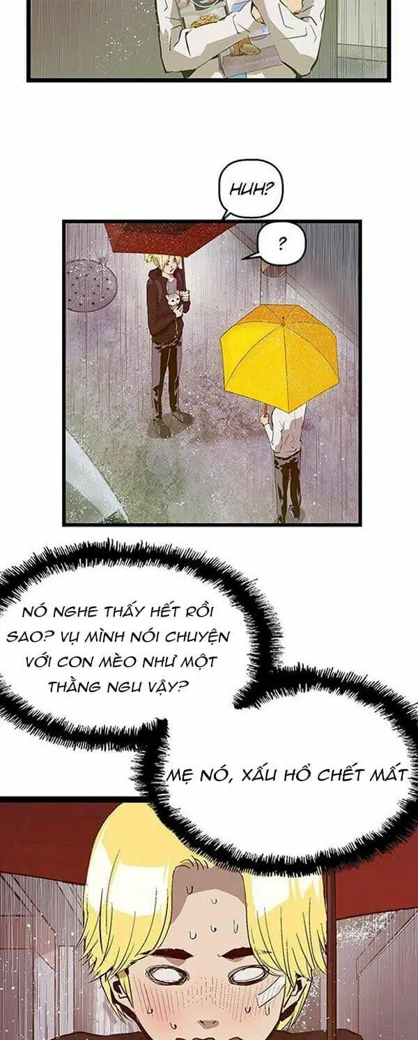 Chapter 49