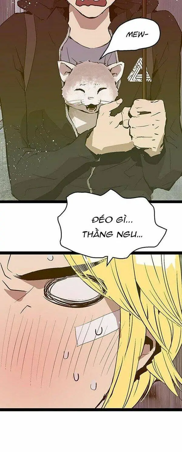 Chapter 49