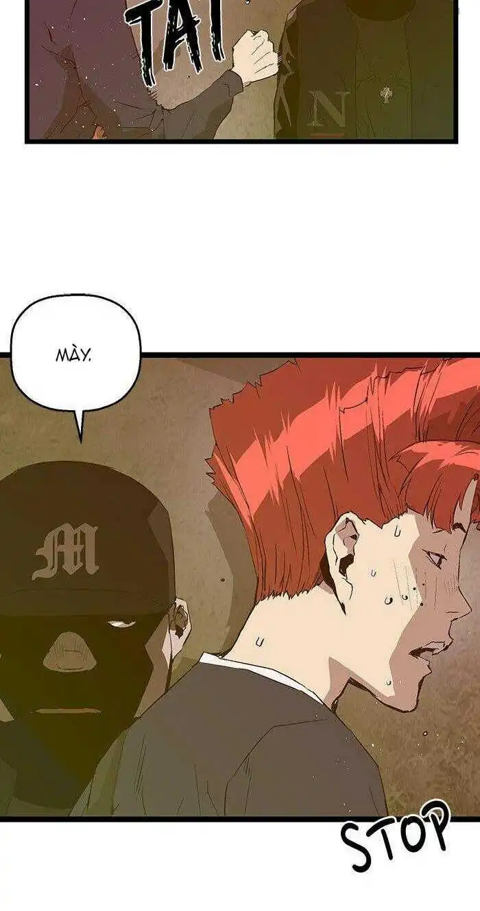 Chapter 48