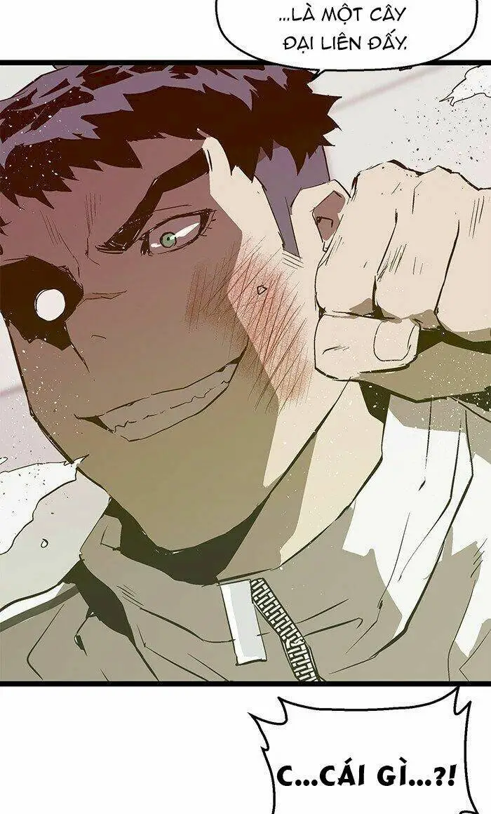 Chapter 46