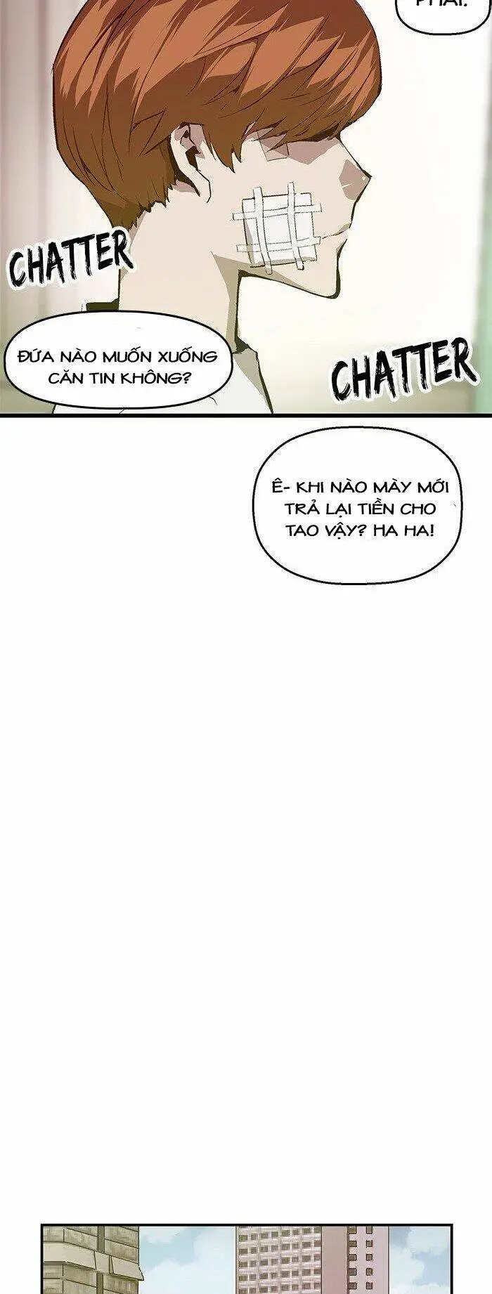 Chapter 33
