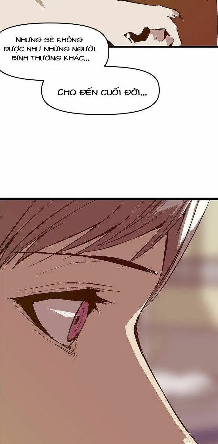 Chapter 33