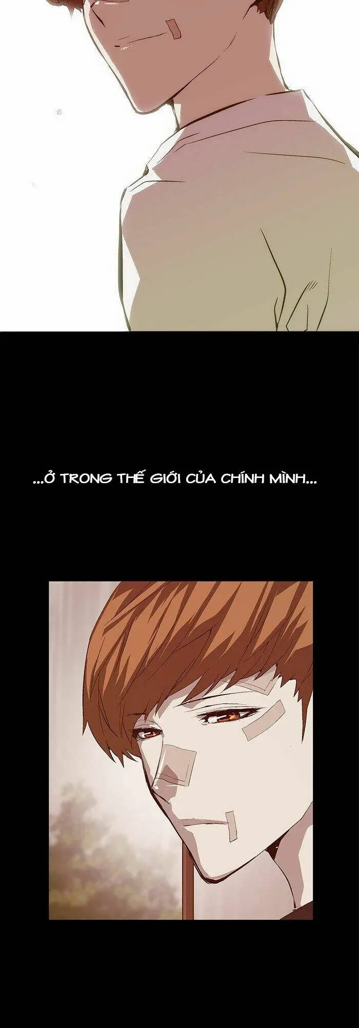 Chapter 33