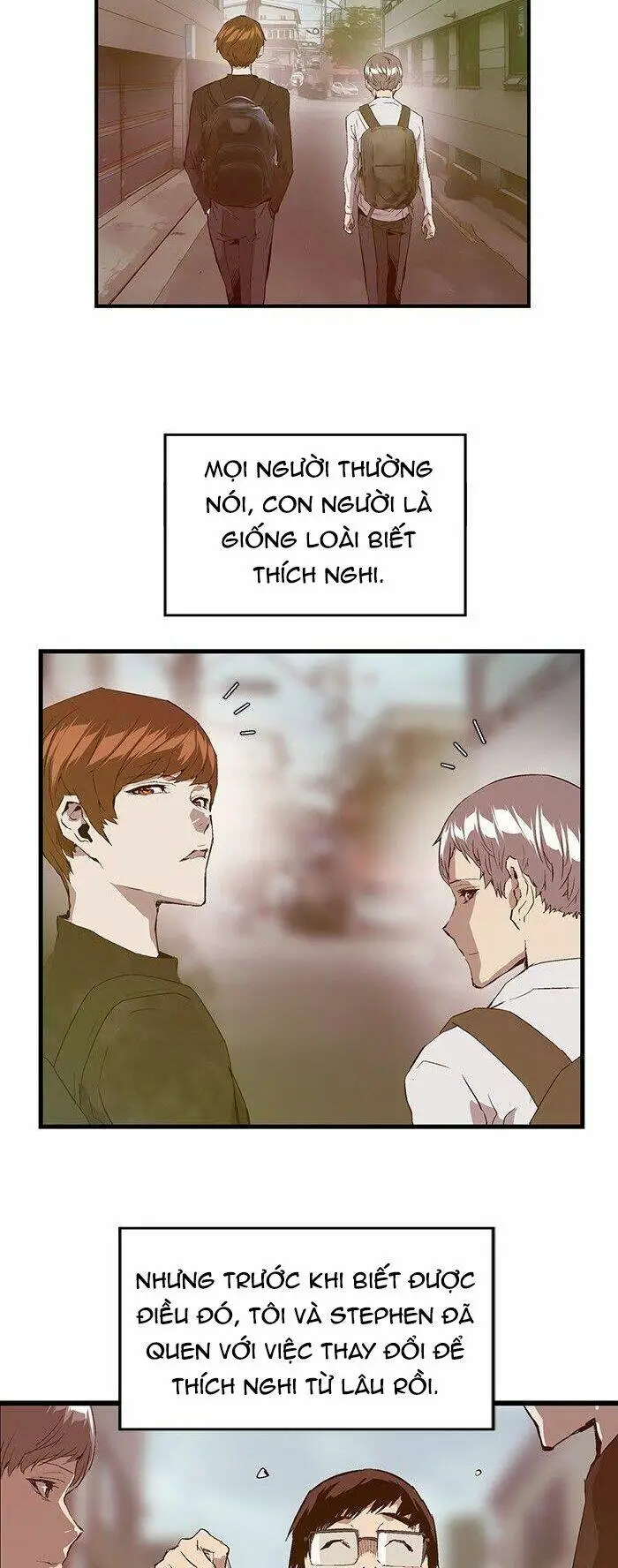 Chapter 28