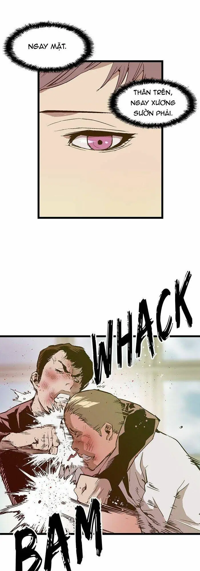Chapter 26