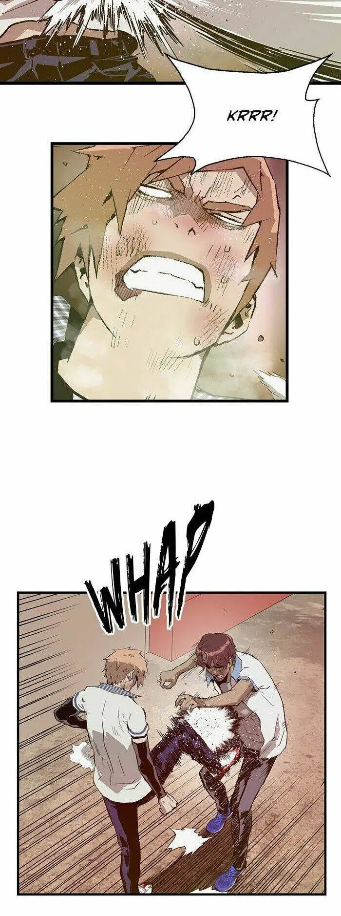 Chapter 24