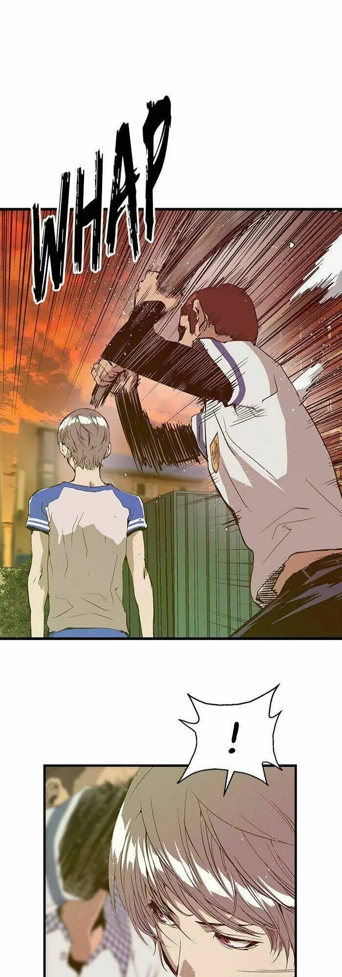 Chapter 24