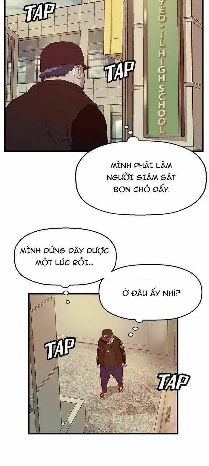 Chapter 24