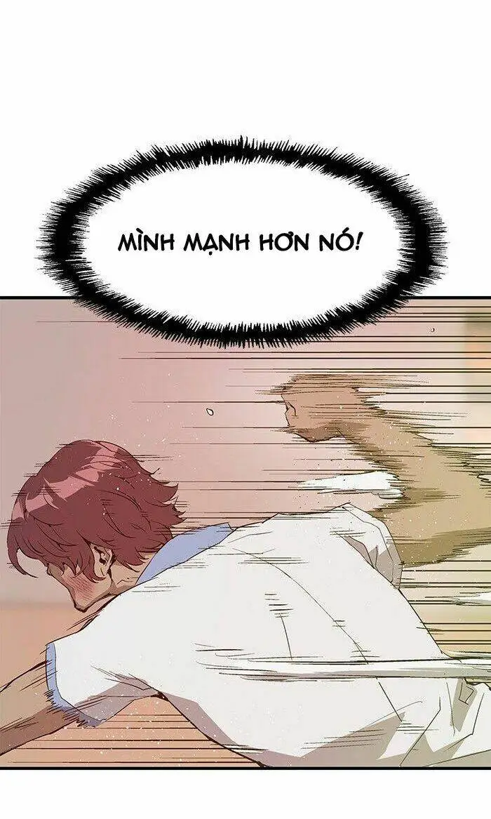 Chapter 24