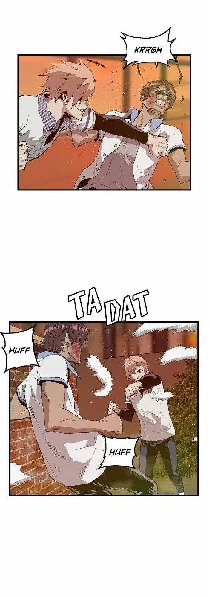 Chapter 23