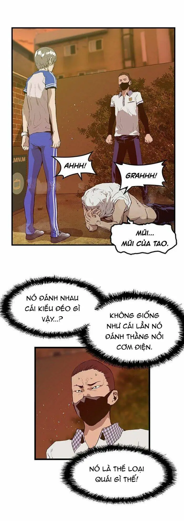 Chapter 23